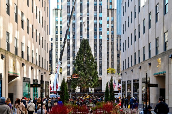 Plant a tree in memory nyc