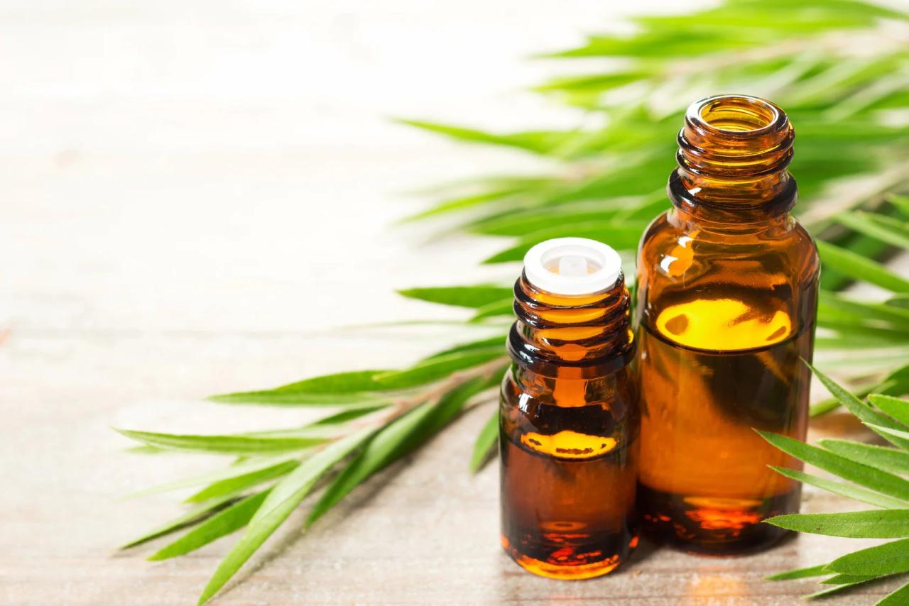 Tea tree oil uses essential top benefits