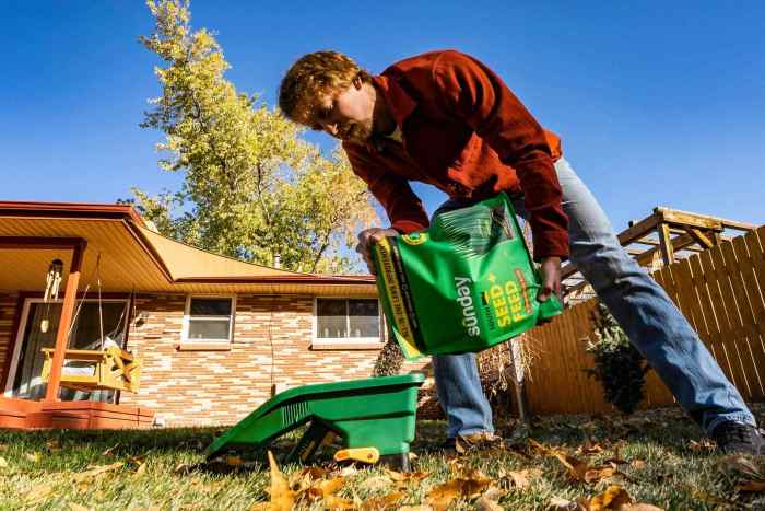 How to plant bermuda grass seed